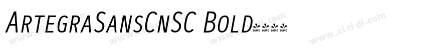 ArtegraSansCnSC Bold字体转换
